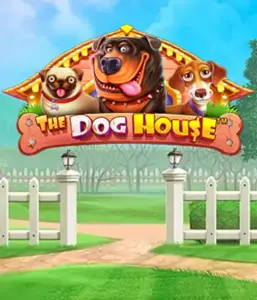 From Pragmatic Play comes The Dog House adventure, featuring a fun-filled experience through playful pups. Enjoy gameplay elements such as sticky wilds, aimed at providing exciting wins. A must-try for pet lovers a cheerful atmosphere with a chance for big wins.